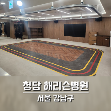 청담 해리슨병원