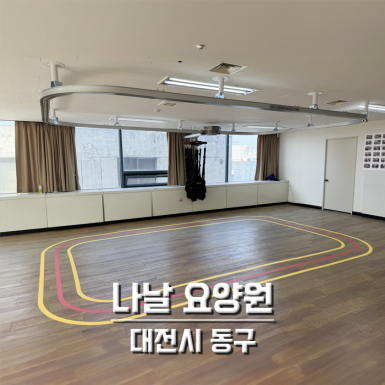 대전 나날요양원