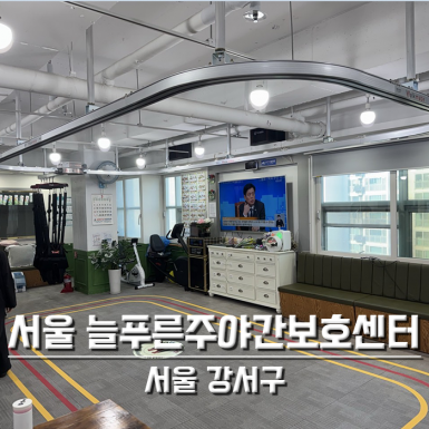 서울 늘푸른주야간보호센터