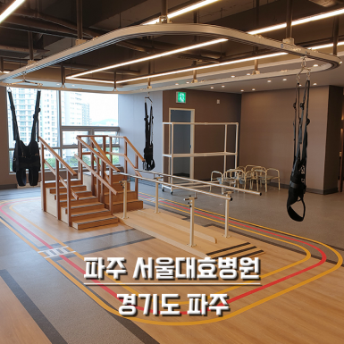 파주 서울대효병원