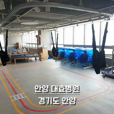 안양 대효병원