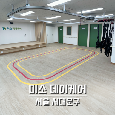 서울 미소데이케어